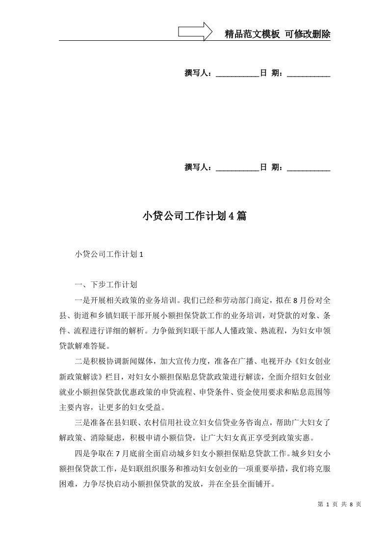 小贷公司工作计划4篇