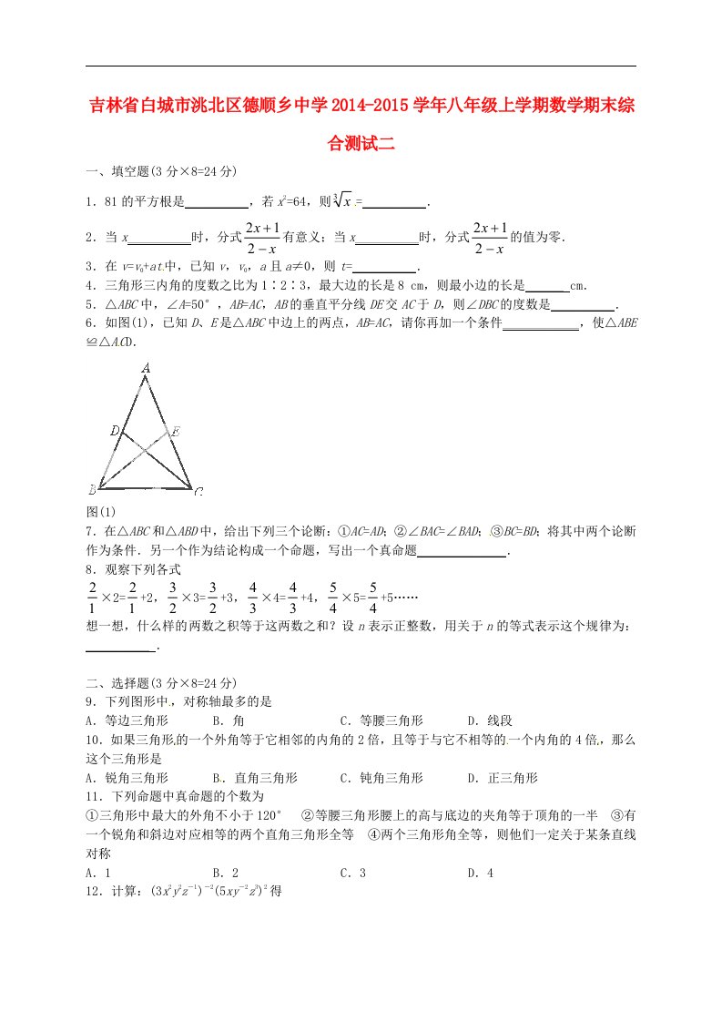 吉林省白城市洮北区德顺乡中学八年级数学上学期期末综合测试二（答案不全）