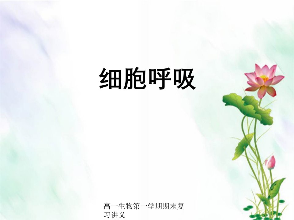 高一生物第一学期期末复习讲义