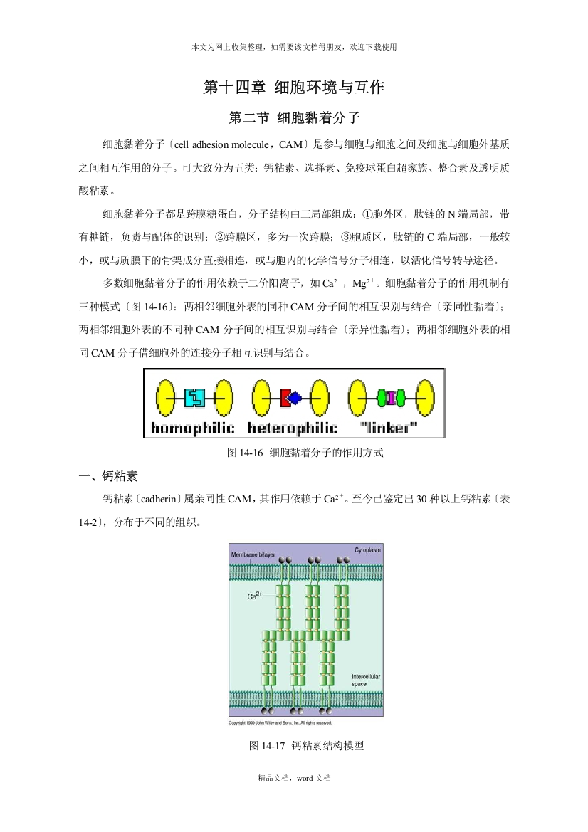 第十一章细胞环境与互作(2021整理)