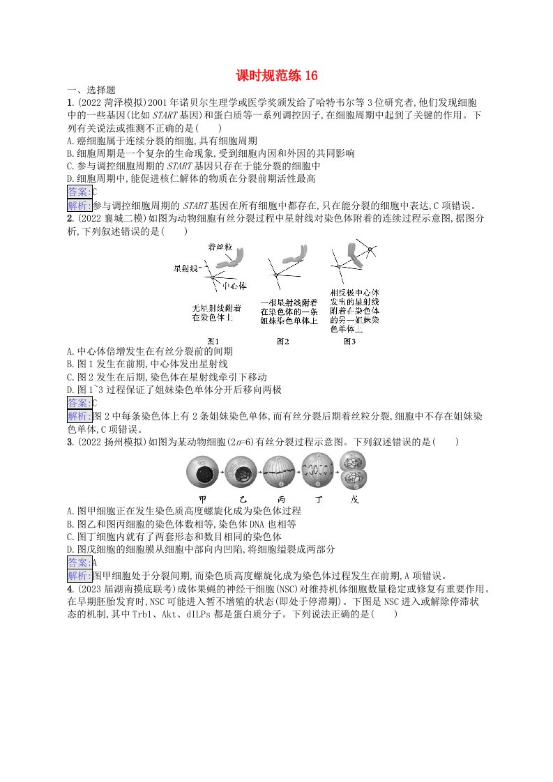 适用于新教材2024版高考生物一轮总复习课时规范练16细胞的增殖新人教版