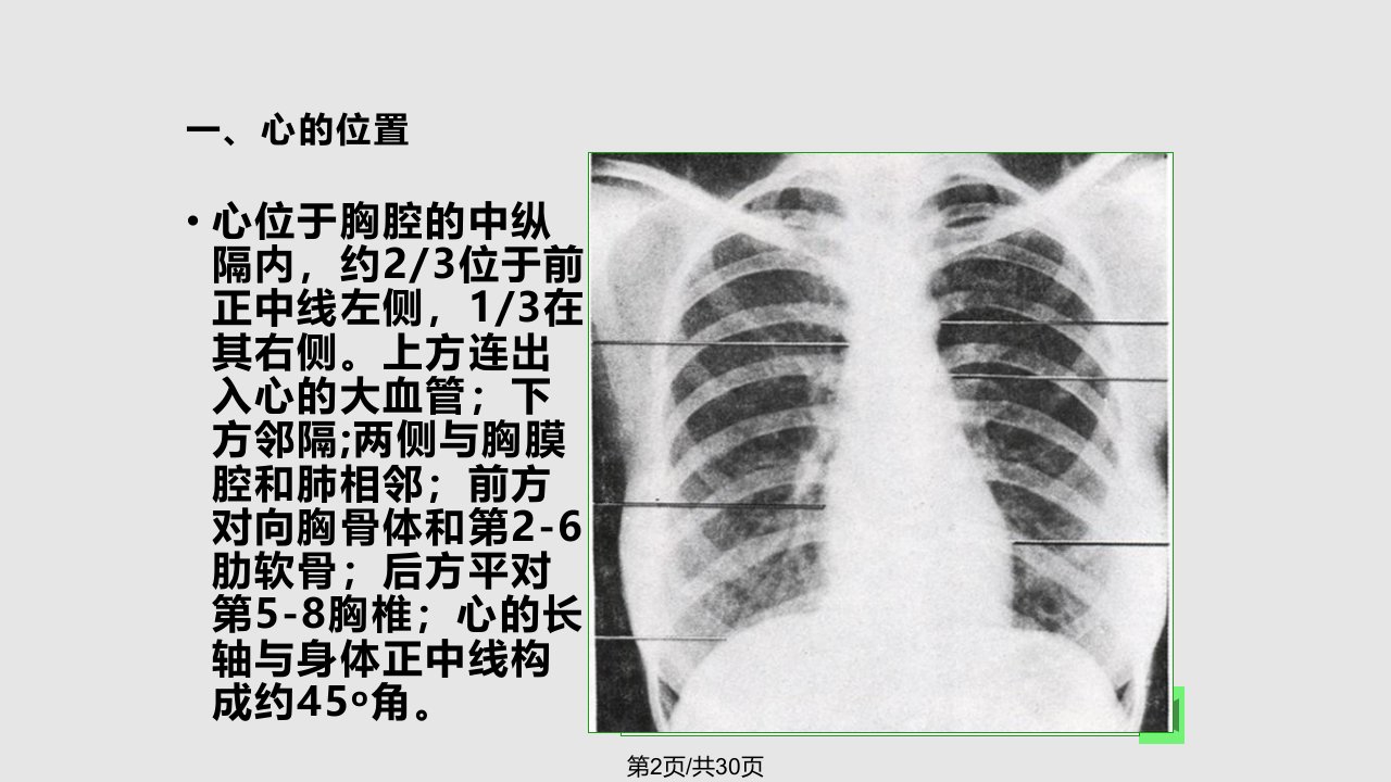 脉管系统第二节心