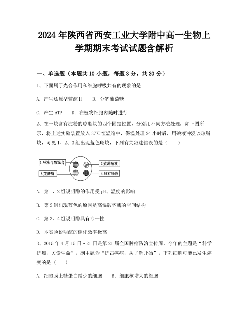 2024年陕西省西安工业大学附中高一生物上学期期末考试试题含解析