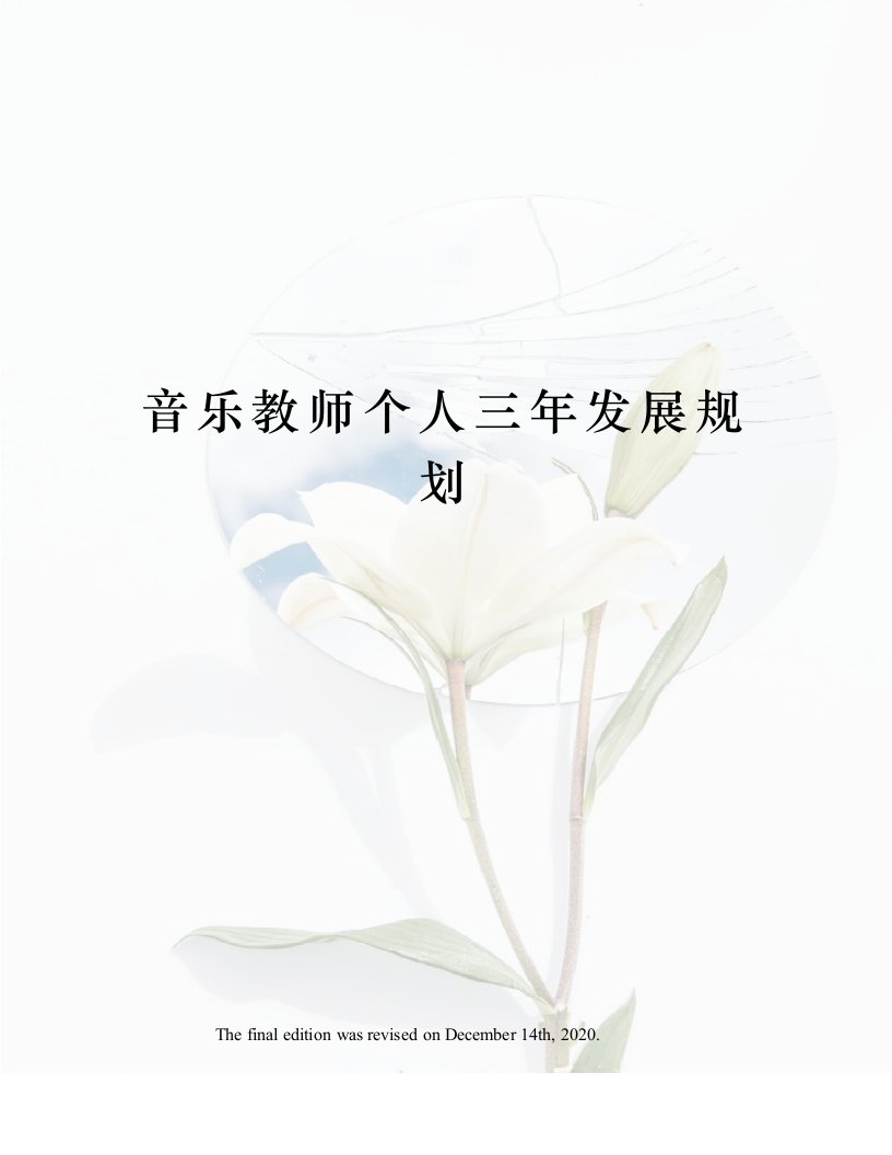 音乐教师个人三年发展规划