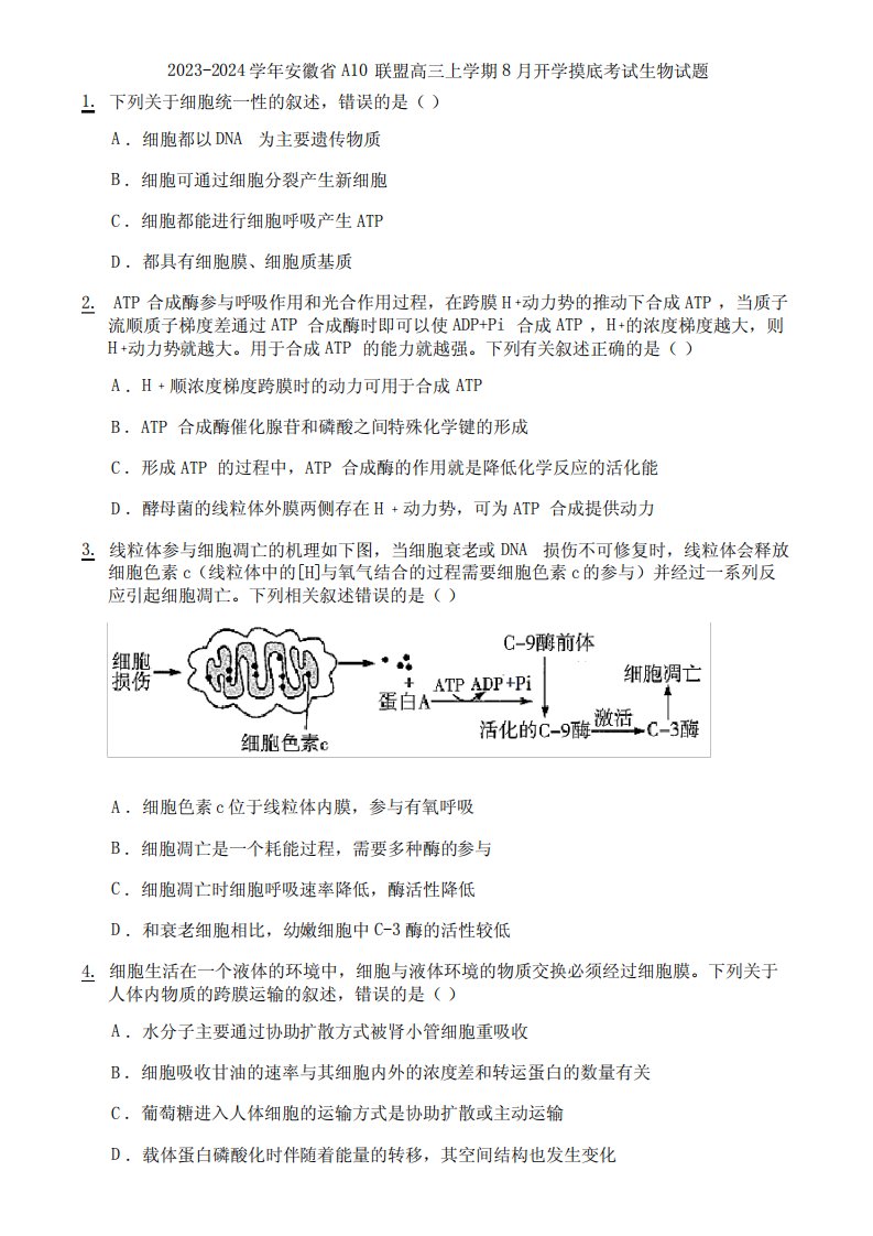 2023-2024学年安徽省A10联盟高三上学期8月开学摸底考试生物试题