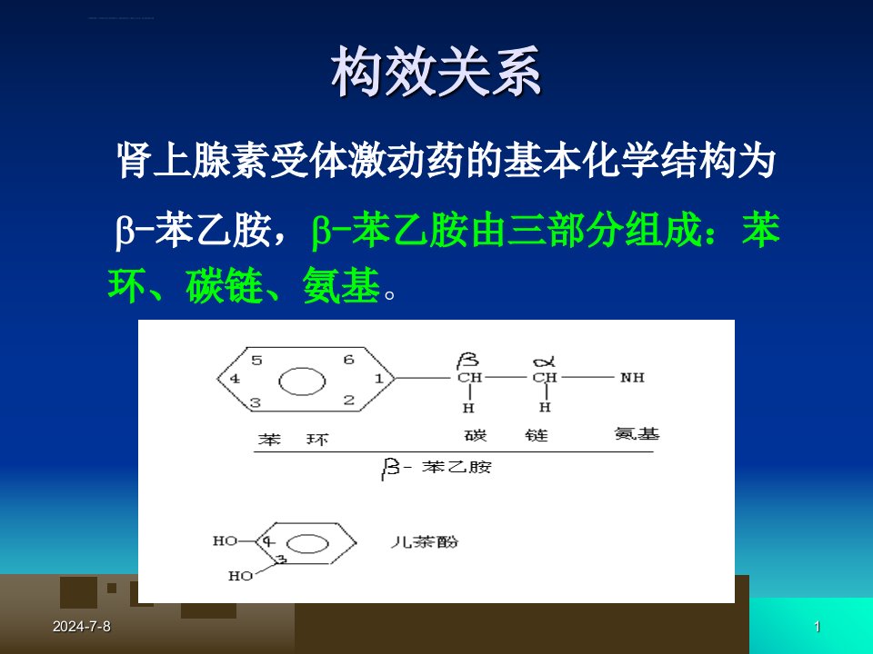 药理学课件第5章肾上腺素受体激动药ppt