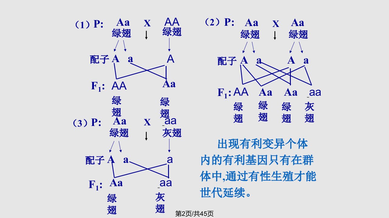 现代生物进化论