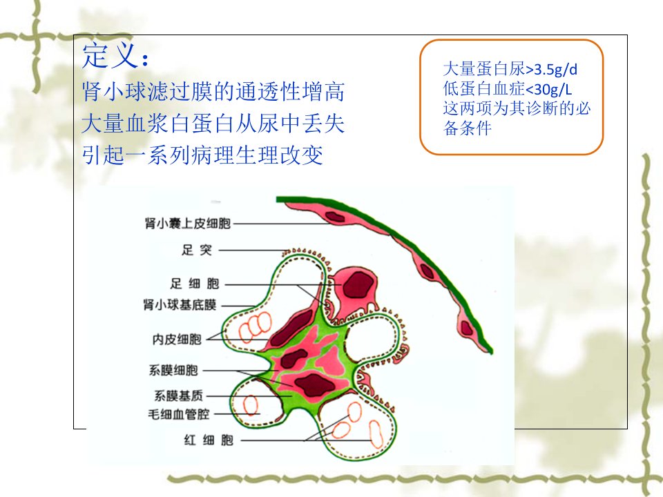 儿科肾病综合症讲课讲稿