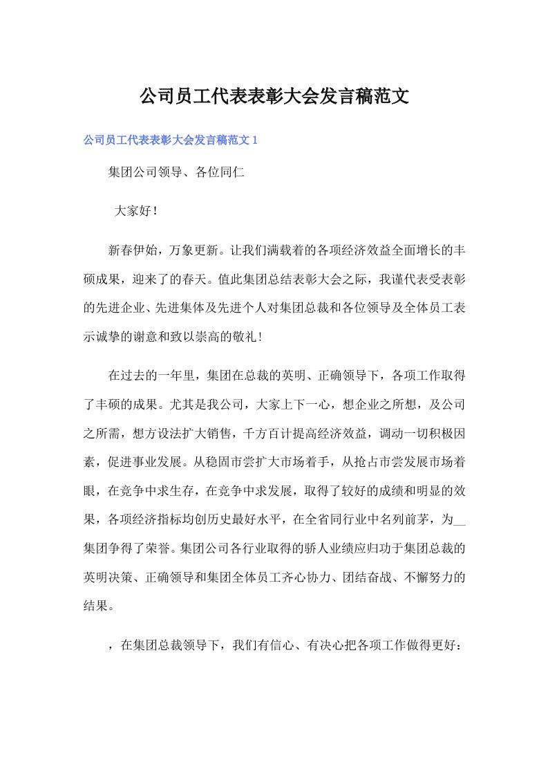 公司员工代表表彰大会发言稿范文