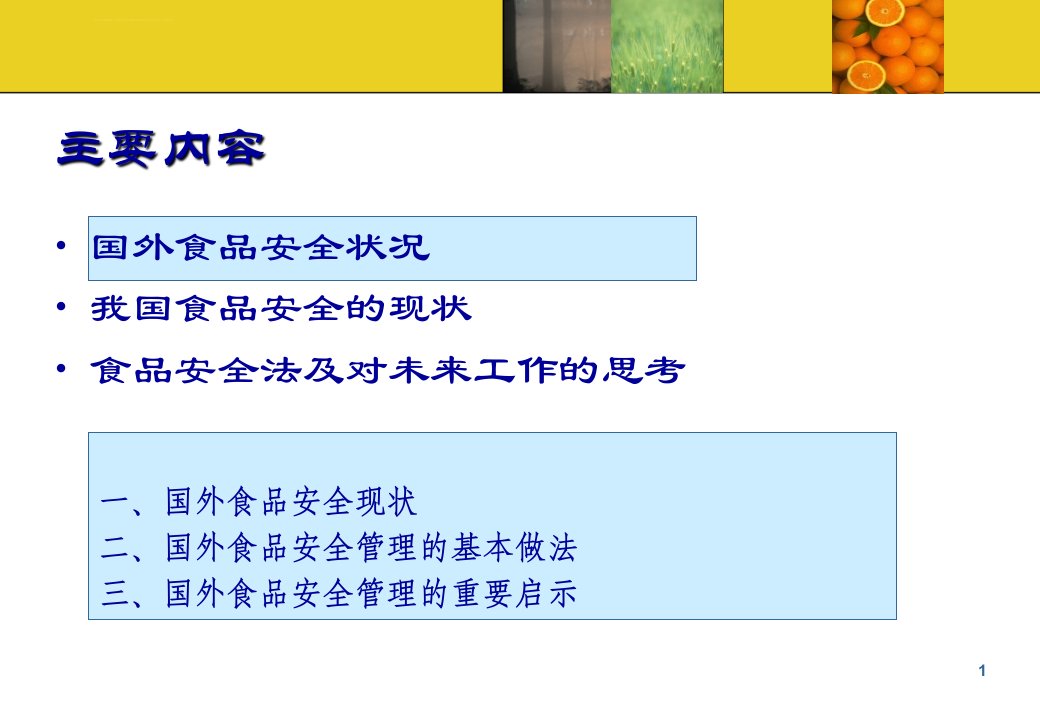 食品安全问题及食品安全法ppt课件