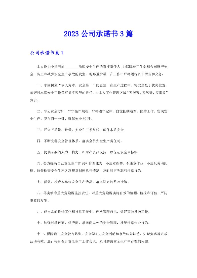 2023公司承诺书3篇