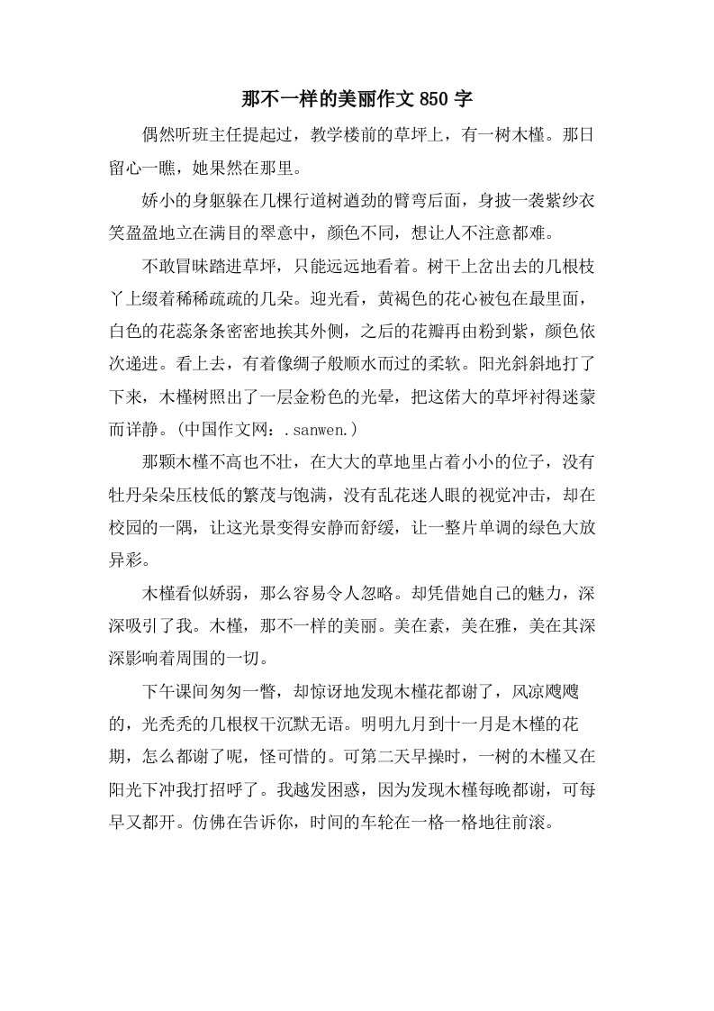 那不一样的美丽作文850字