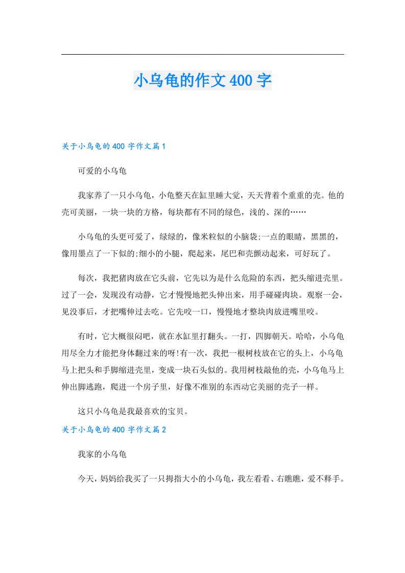 小乌龟的作文400字