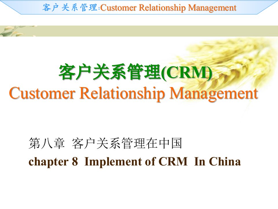 10商贸CRM08客户关系管理在中国