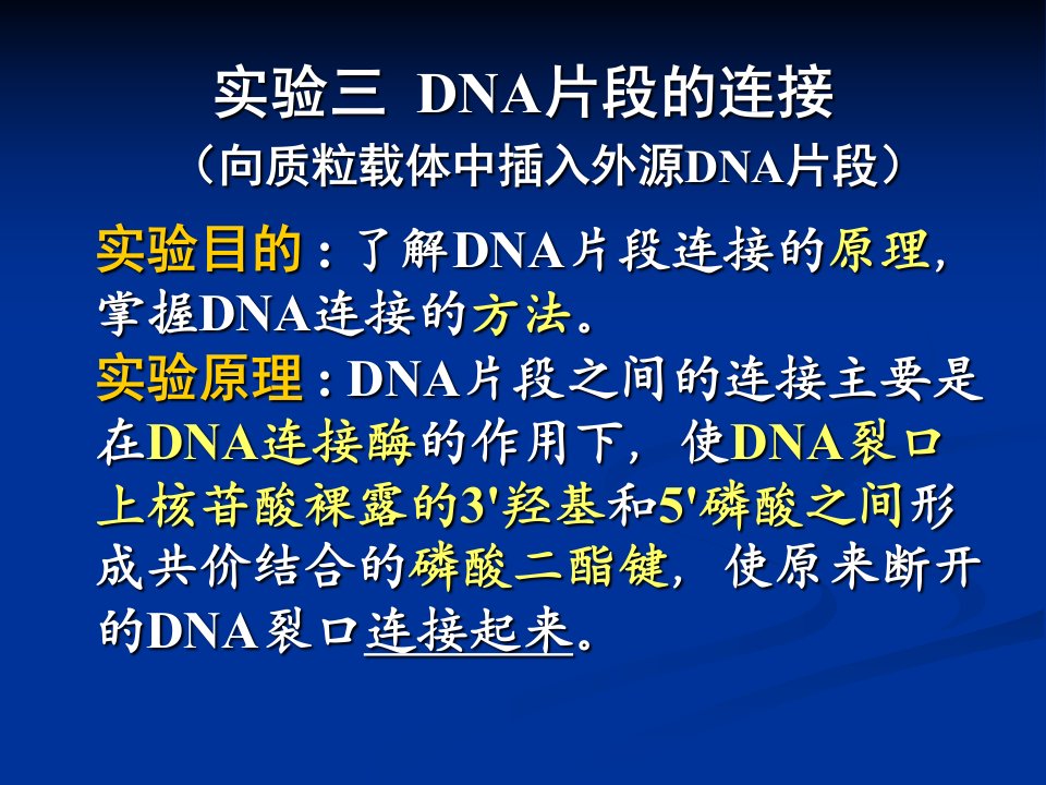 DNA片段的连接