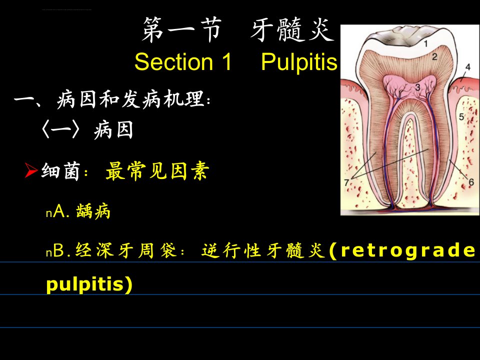 第一节牙髓炎课件