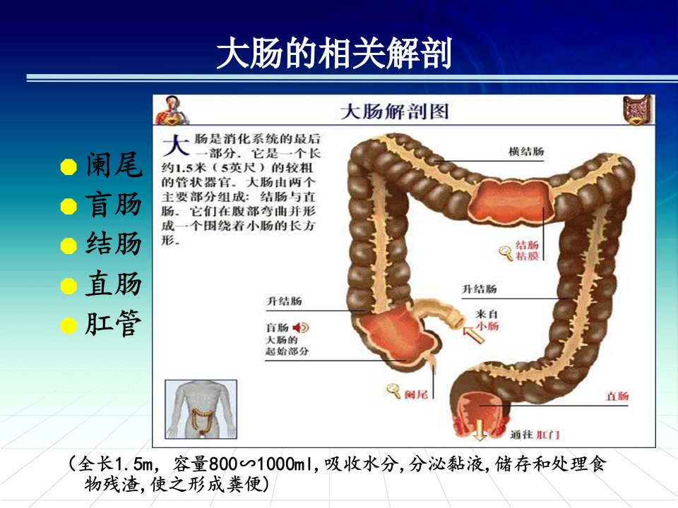 业务学习结直肠癌的护理ppt课件