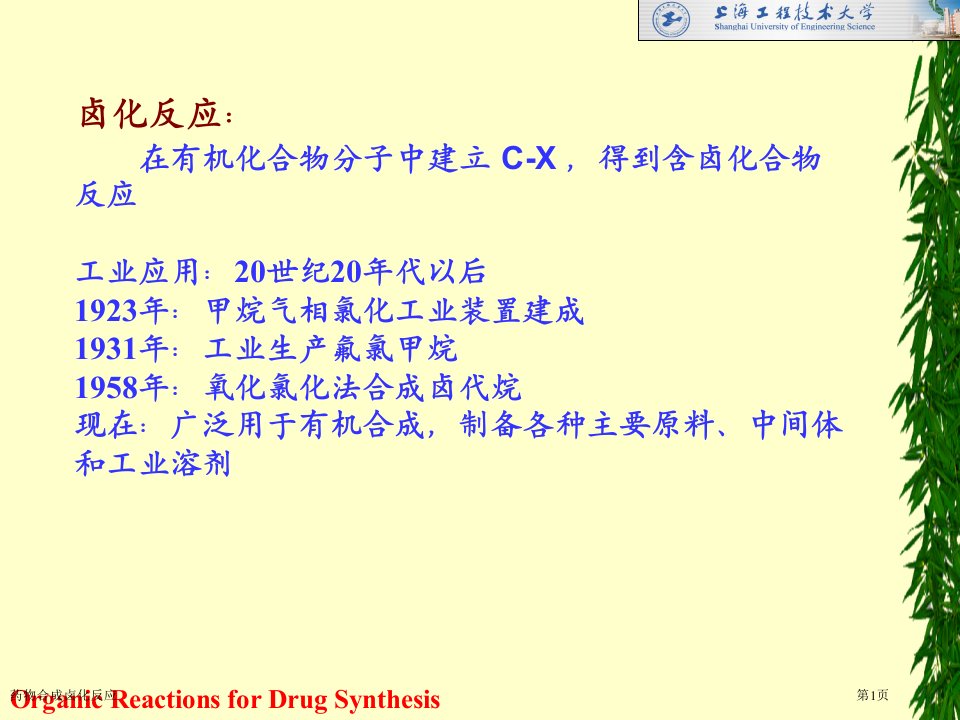 药物合成卤化反应课件PPT