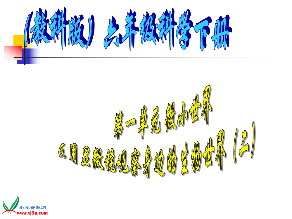 【精编】六年级科学下册