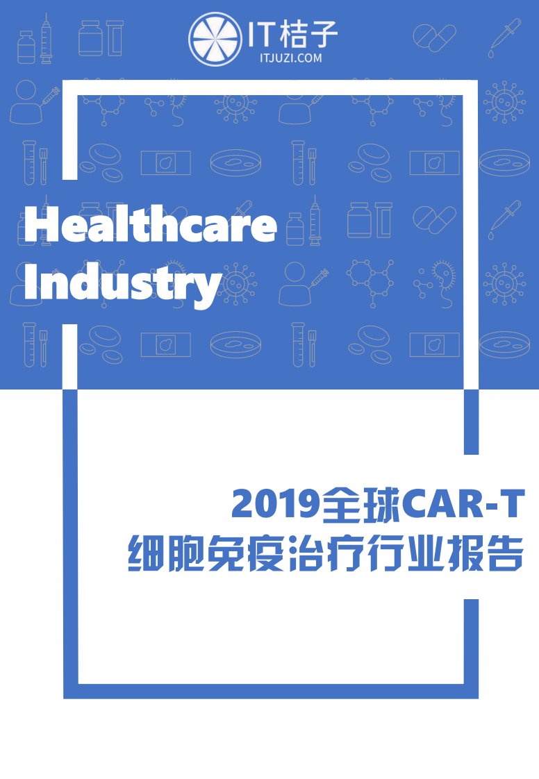 IT桔子-2019年全球CAR-T细胞免疫治疗行业报告-20190822