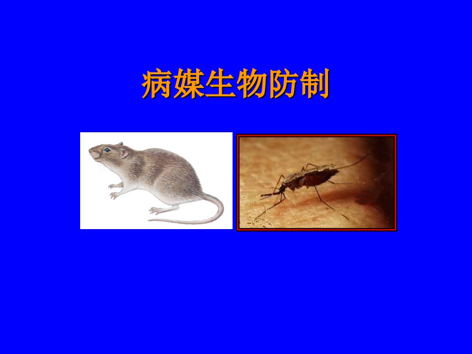 《病媒生物控制》PPT课件