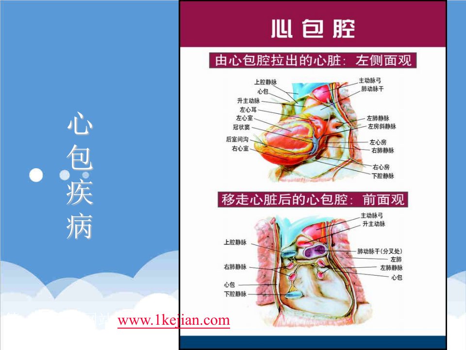 心包疾病2