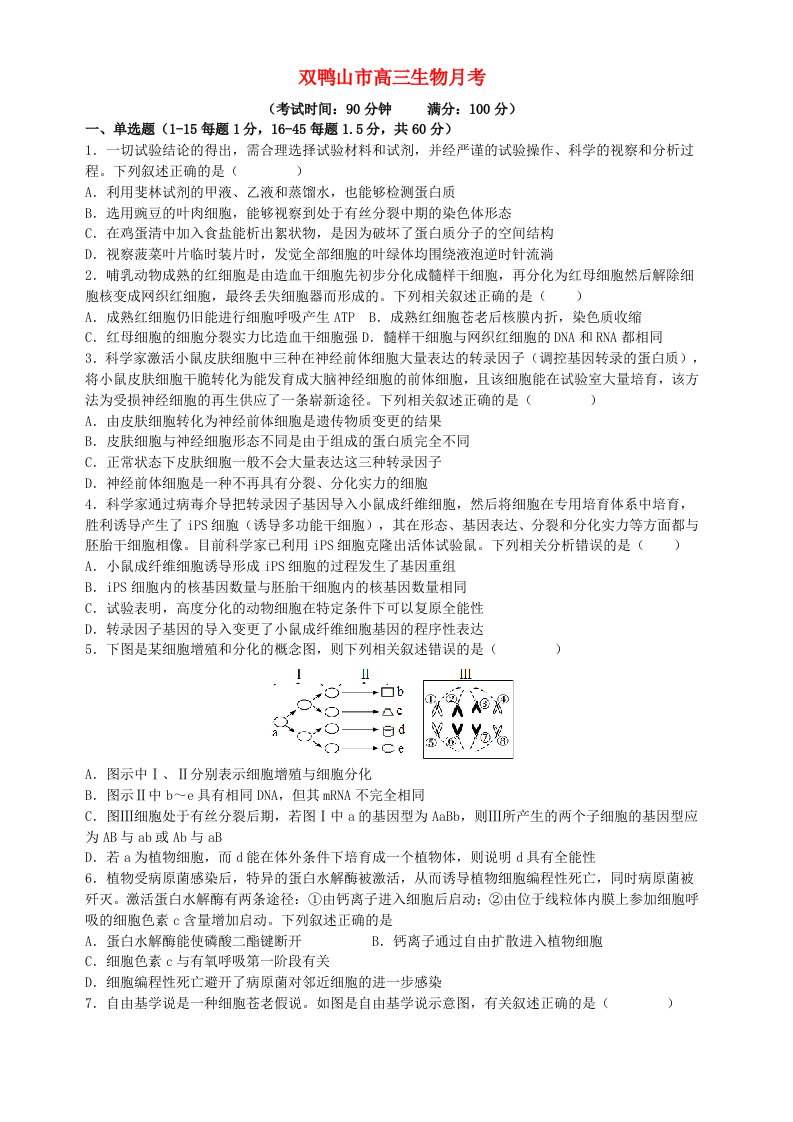 黑龙江省双鸭山市2024