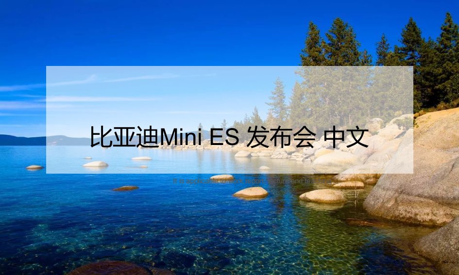 《比亚迪Mini