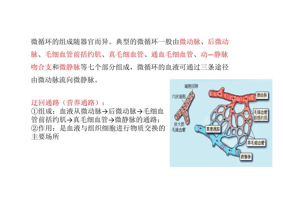 微循环与发热-课件·PPT