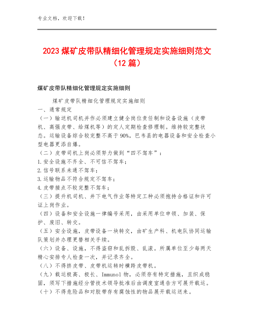 2023煤矿皮带队精细化管理规定实施细则范文（12篇）