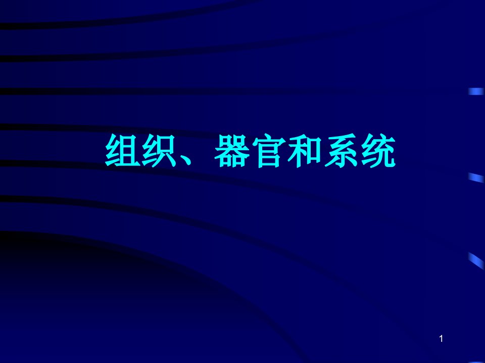 《组织、器官和系统》PPT课件