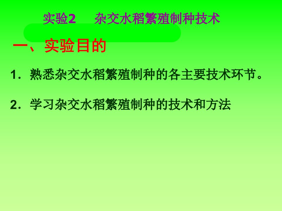 实验02杂交水稻繁殖制种技术