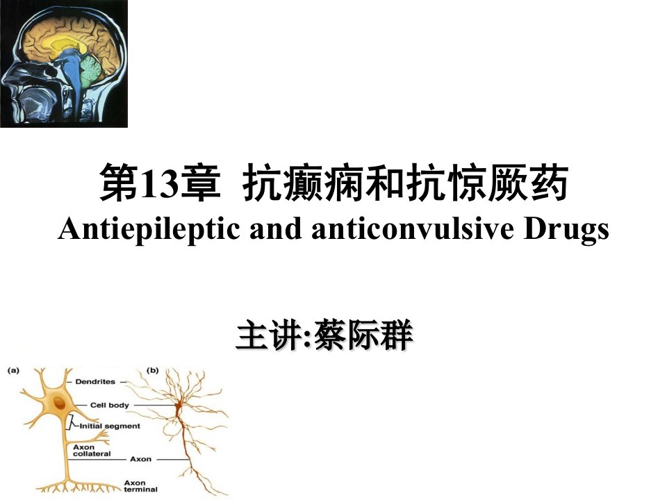 医疗行业-第13章抗癫痫与抗惊厥药中国医科大学网络教育学院，网络