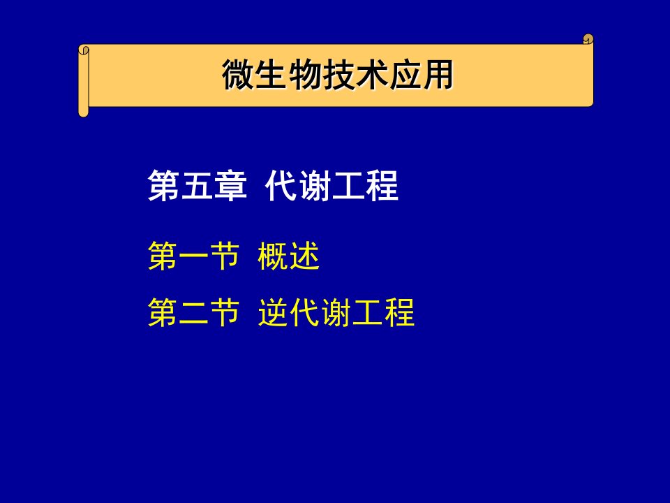 课件-5代谢工程