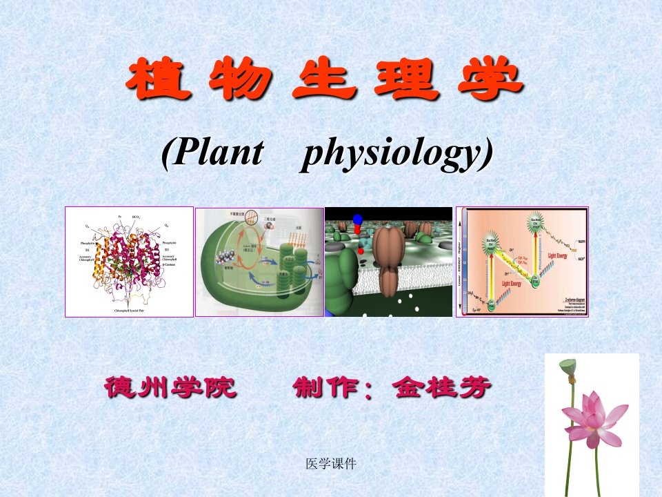 植物生理学绪论