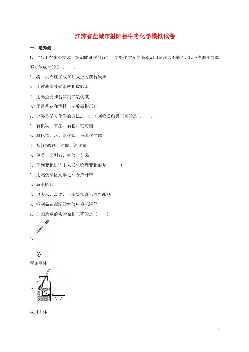 江苏省盐城市射阳县中考化学模拟试题（含解析）