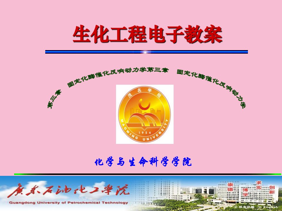 第三章固定化酶催化反应动力学1ppt课件