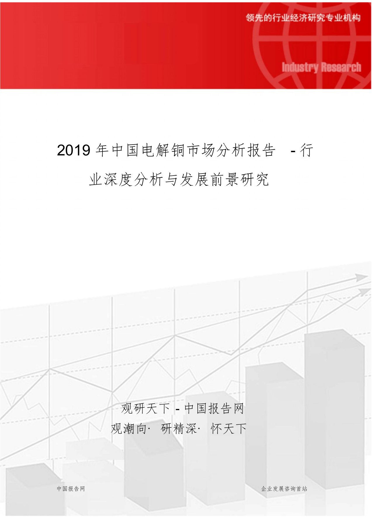 2019年中国电解铜市场分析报告-行业深度分析与发展前景研究