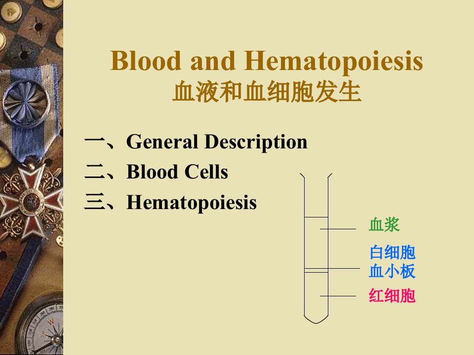 血液和血细胞发生