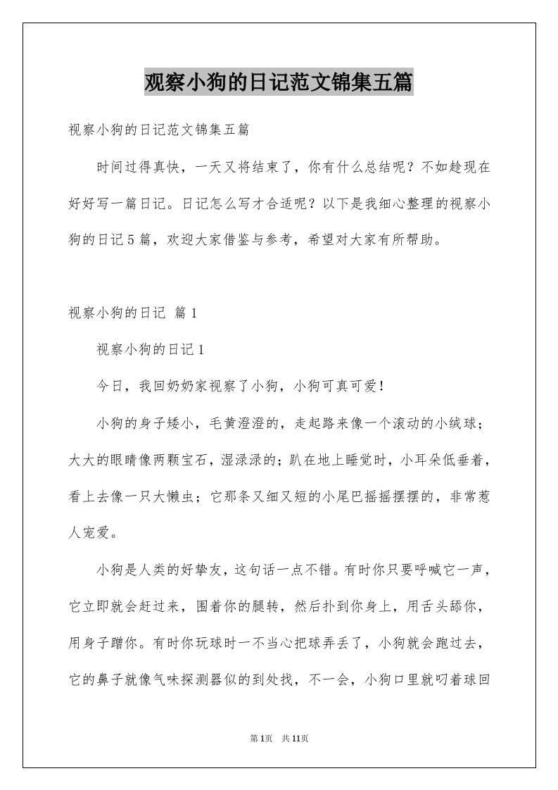 观察小狗的日记范文锦集五篇