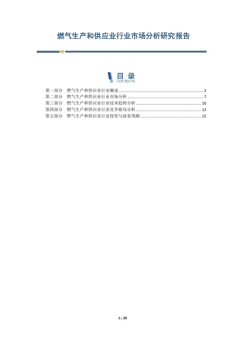 燃气生产和供应业行业市场分析研究报告-第2篇