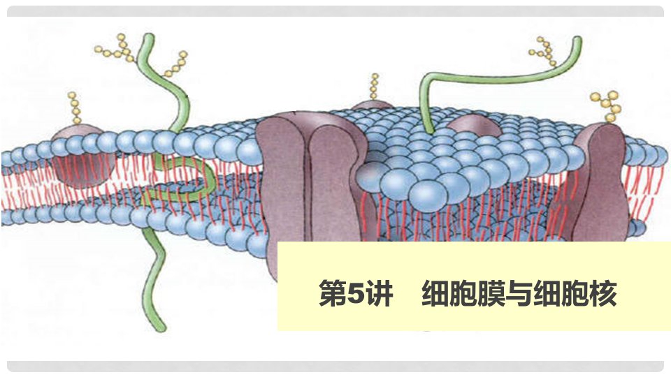 高考生物大一轮复习