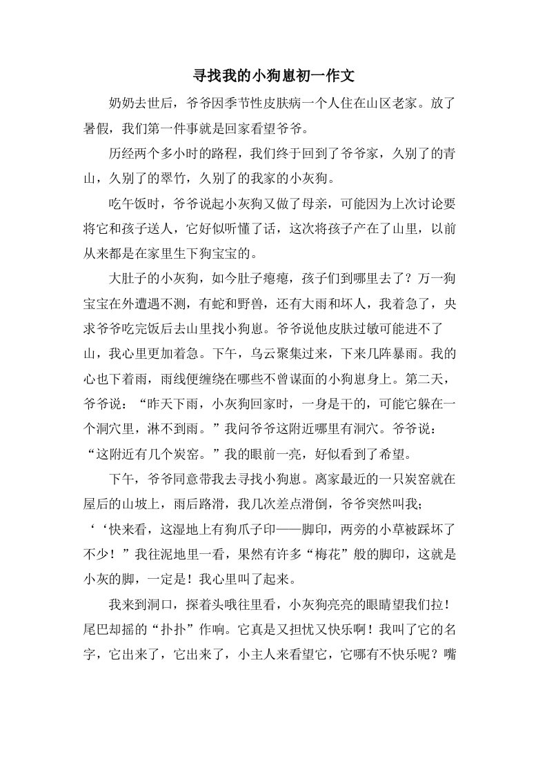 寻找我的小狗崽初一作文