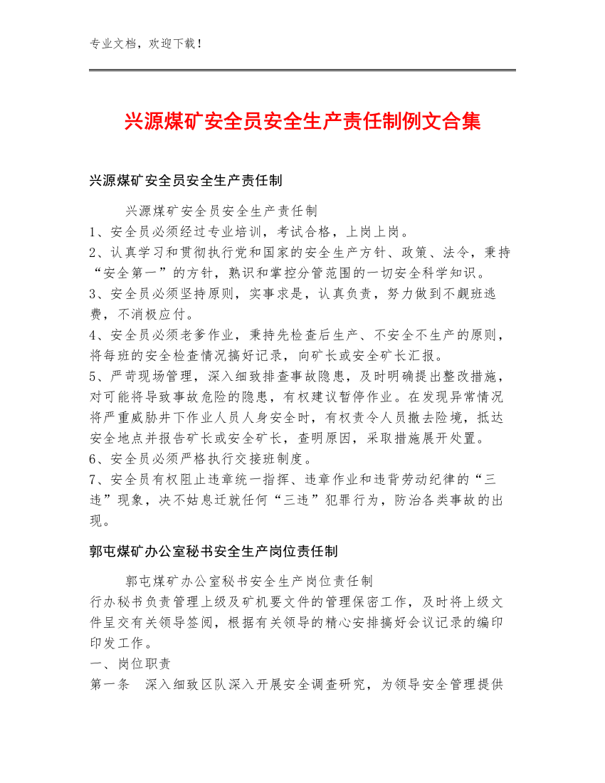 兴源煤矿安全员安全生产责任制例文合集