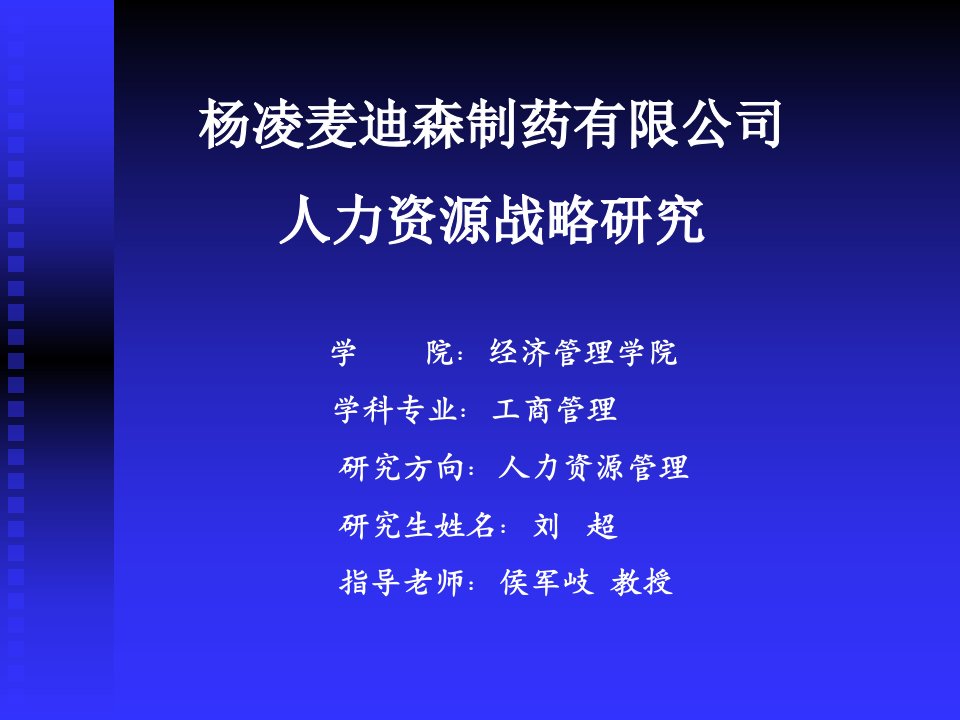 杨凌麦迪森制药有限公司人力资源战略研究-PowerPoi