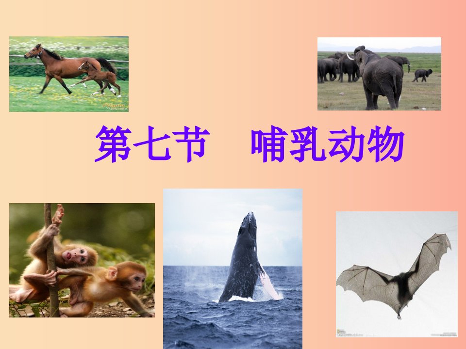 辽宁省凌海市2019年八年级生物上册