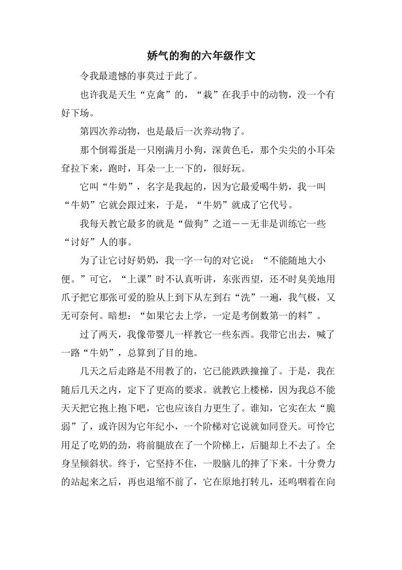 娇气的狗的六年级作文