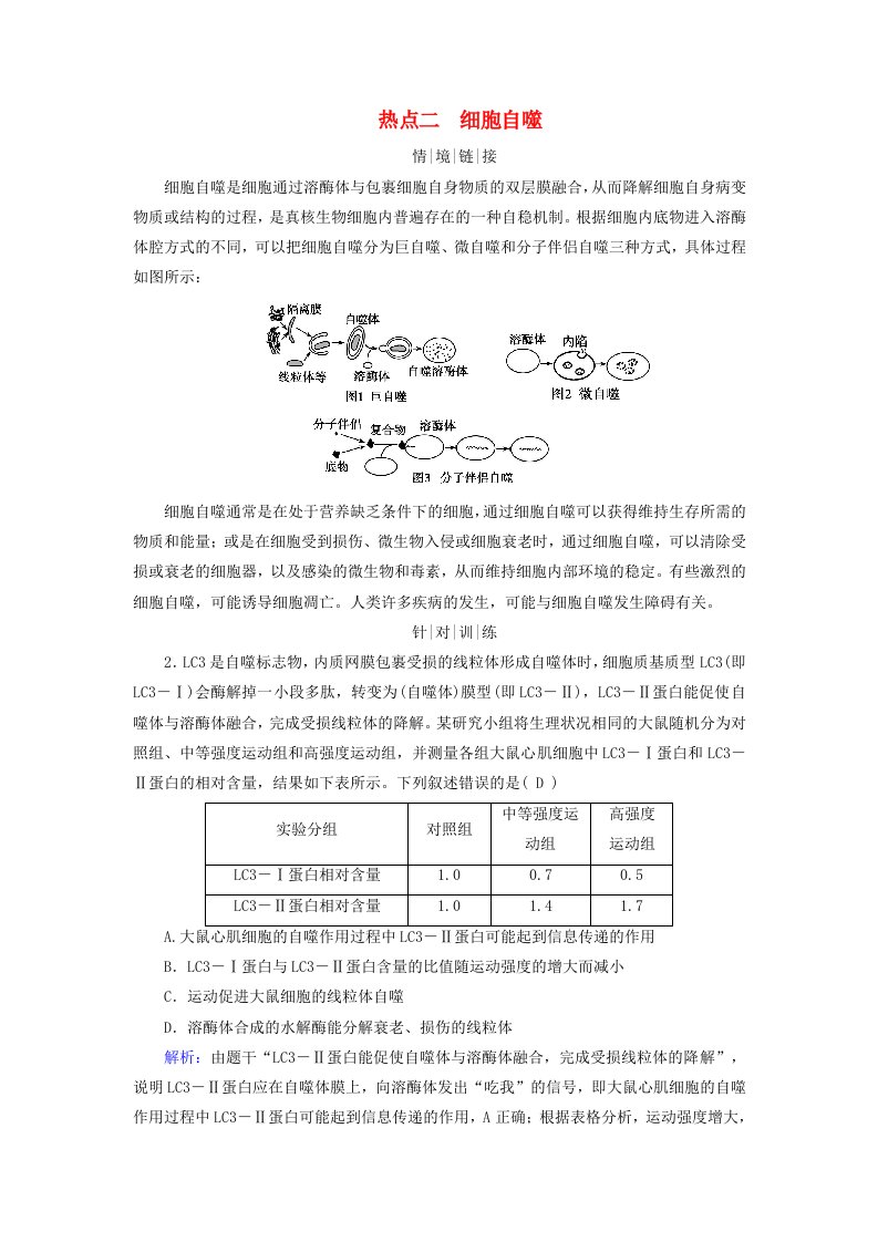 2025版高考生物一轮总复习教师用书必修1情境拓展3细胞周期调控和细胞自噬热点二细胞自噬