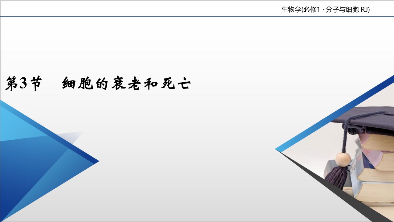 新教材细胞的衰老和死亡优秀课件人教版2