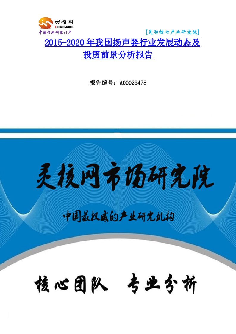 中国扬声器行业市场分析与发展趋势研究报告-灵核网